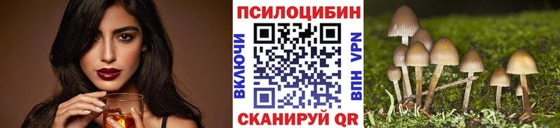 Псилоцибиновые грибы Cubensis  Горячеводский 